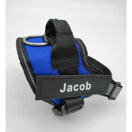 Postroj pro psa Jacob Xs, modrá