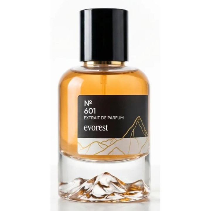 Parfémovaná voda pro muže EVOREST ? 601, 50 ml