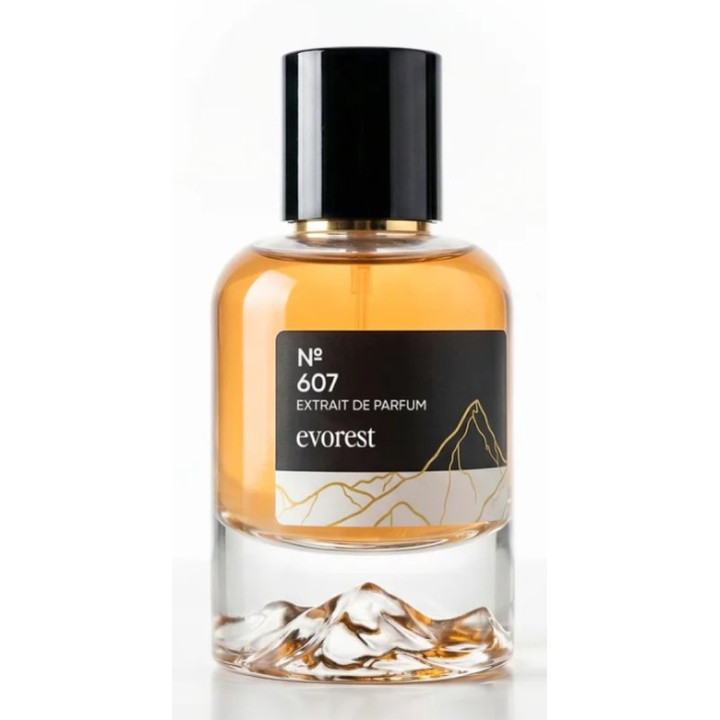 Parfémovaná voda pro muže EVOREST ? 607, 50 ml